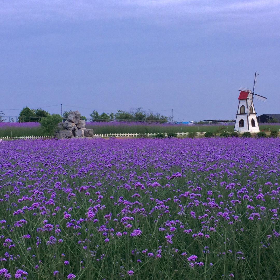 南宁之夜·拾光花园