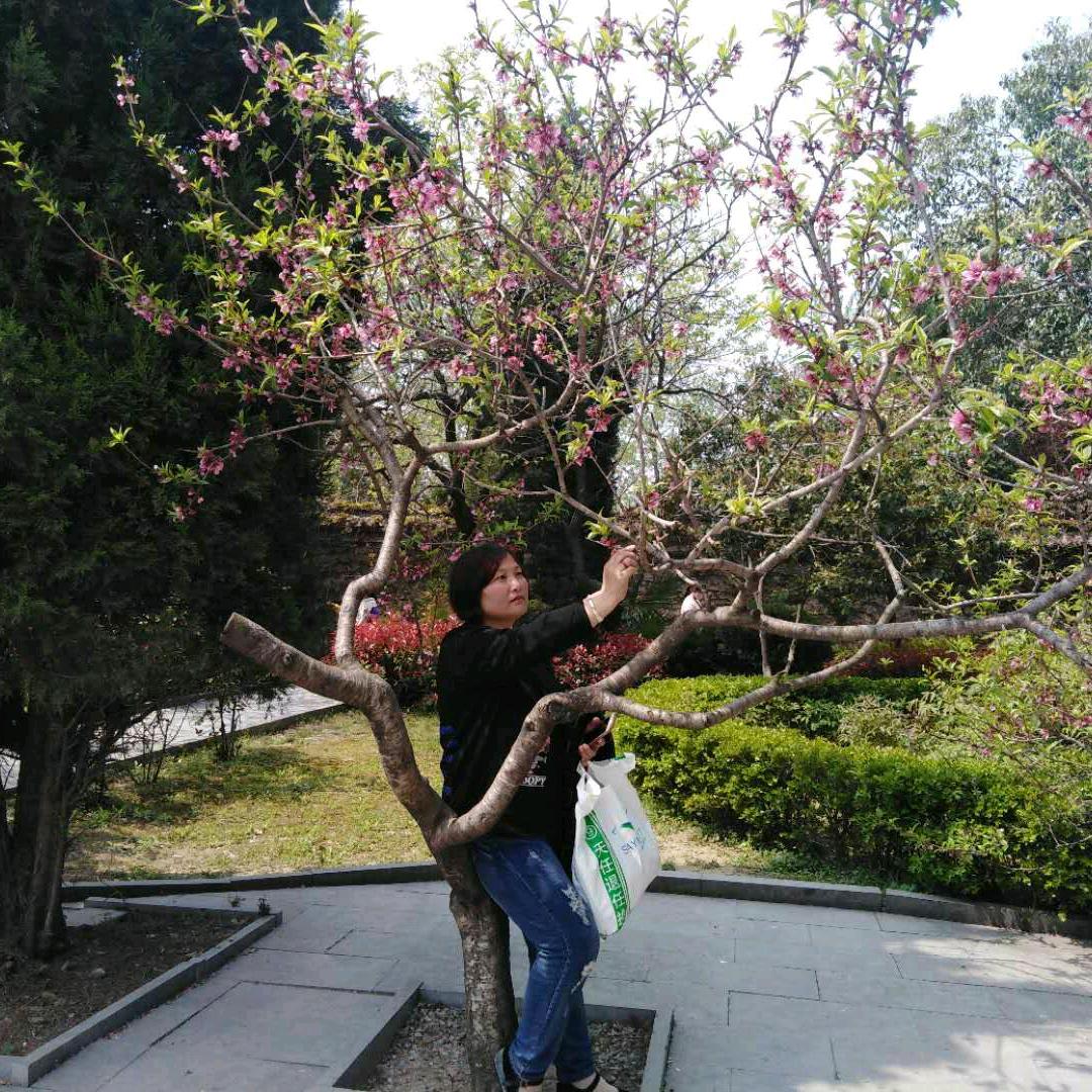 展望未来1019045489