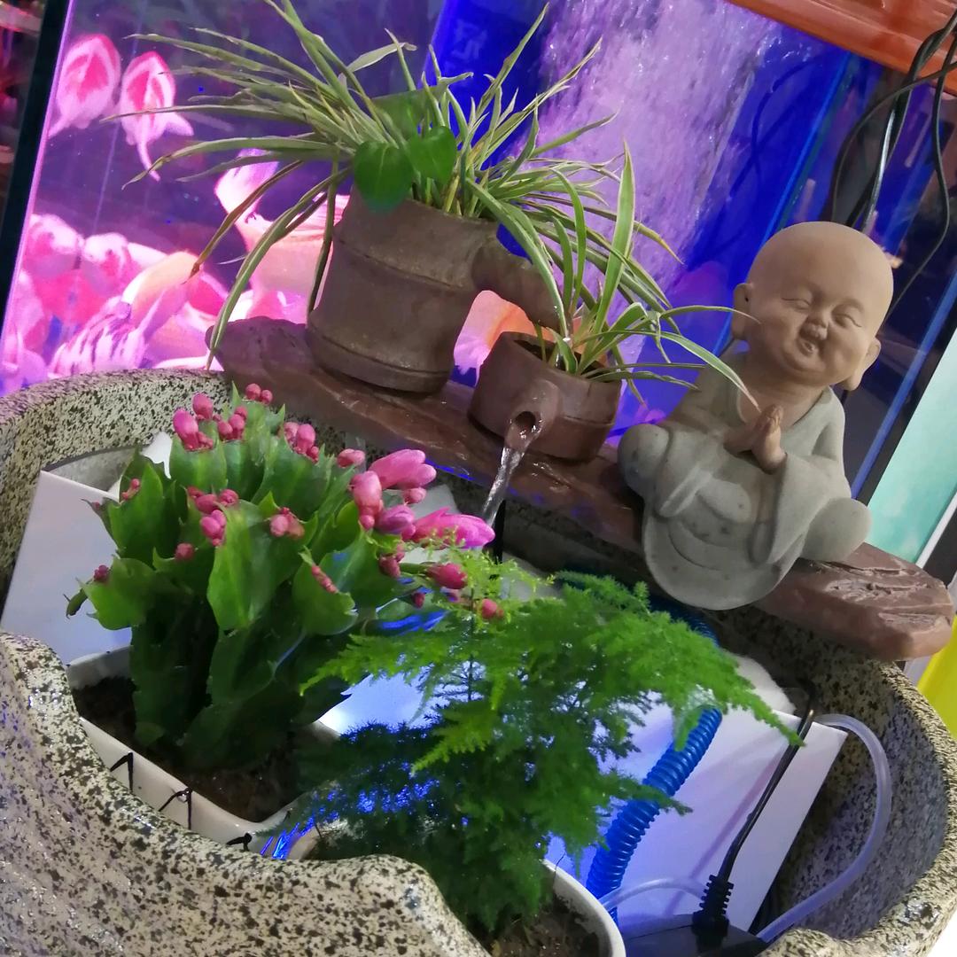 不忘初心，方得始终