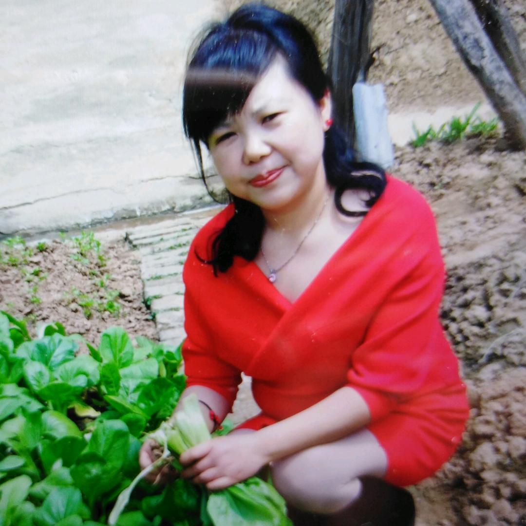 用户九妹2143692615068