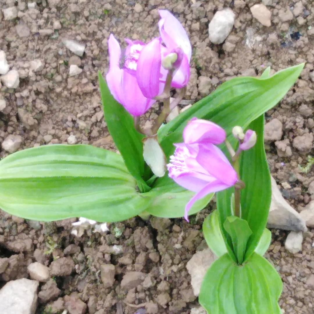 百忙之中闲不柱的人