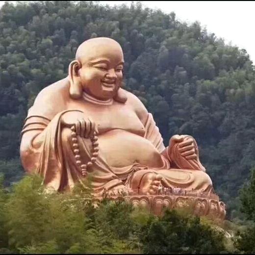 自由飞翔