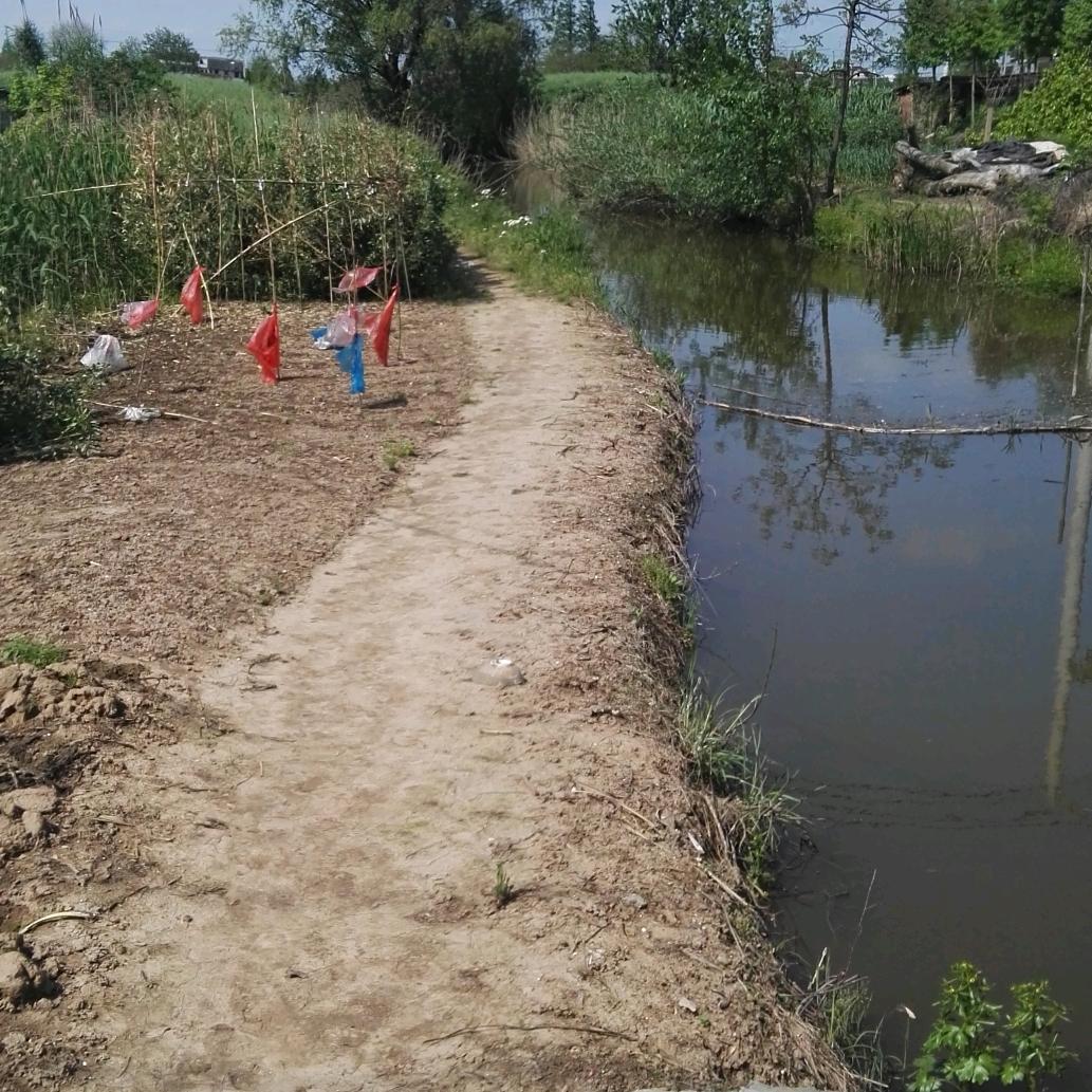 以诚待人🌹🌹🌹