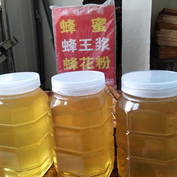 爱是一道光🍭️