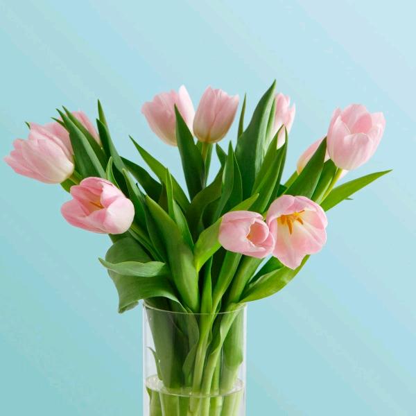 只若初见🌸
