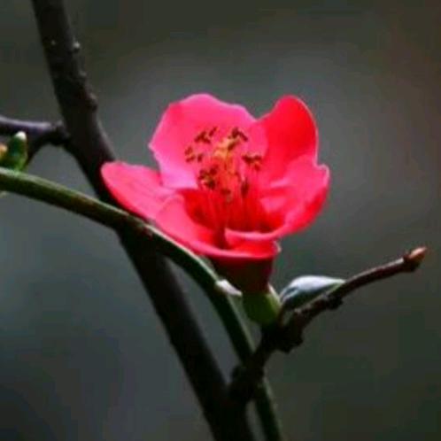 ℒℴѵℯ心·难控ꦿ⸙陈静🐒🐒