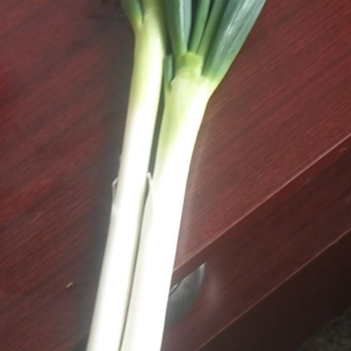 汇洋食品