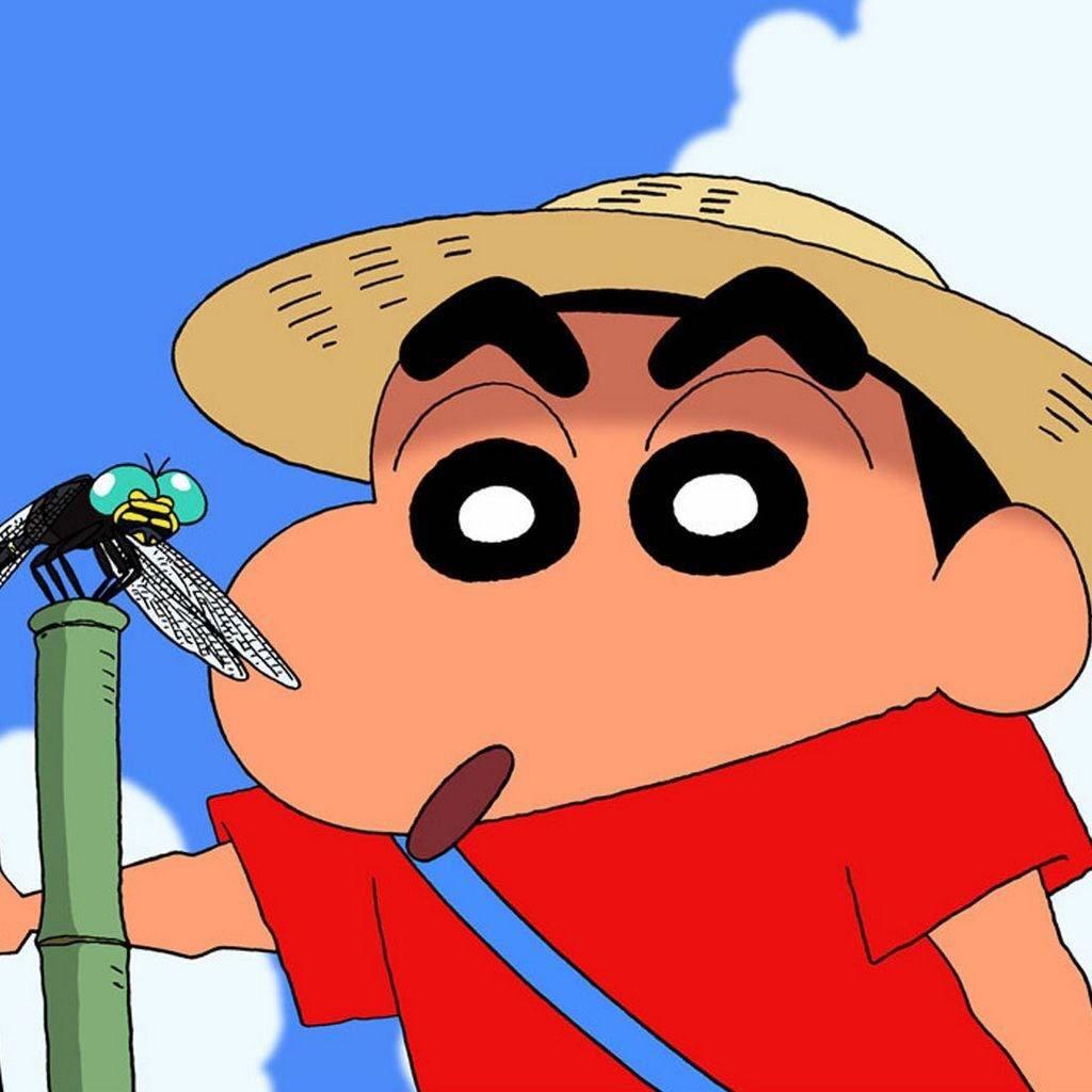 乐天宝贝