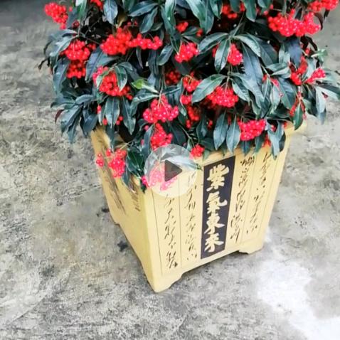 祝全家幸福美满