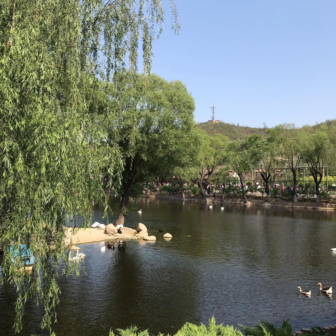 上善若水6