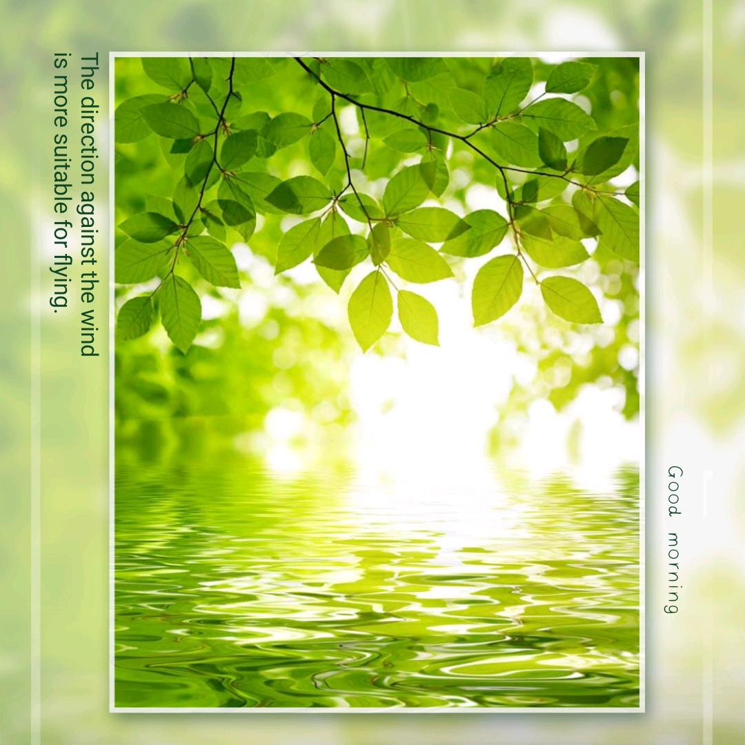 闪亮的星⭐⭐⭐