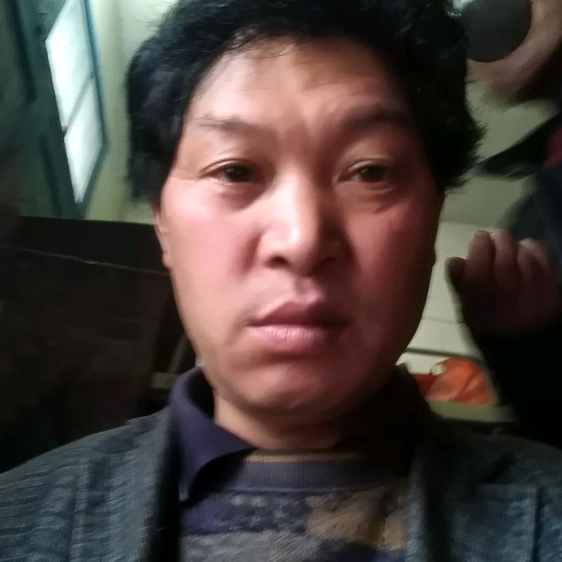 真情相待