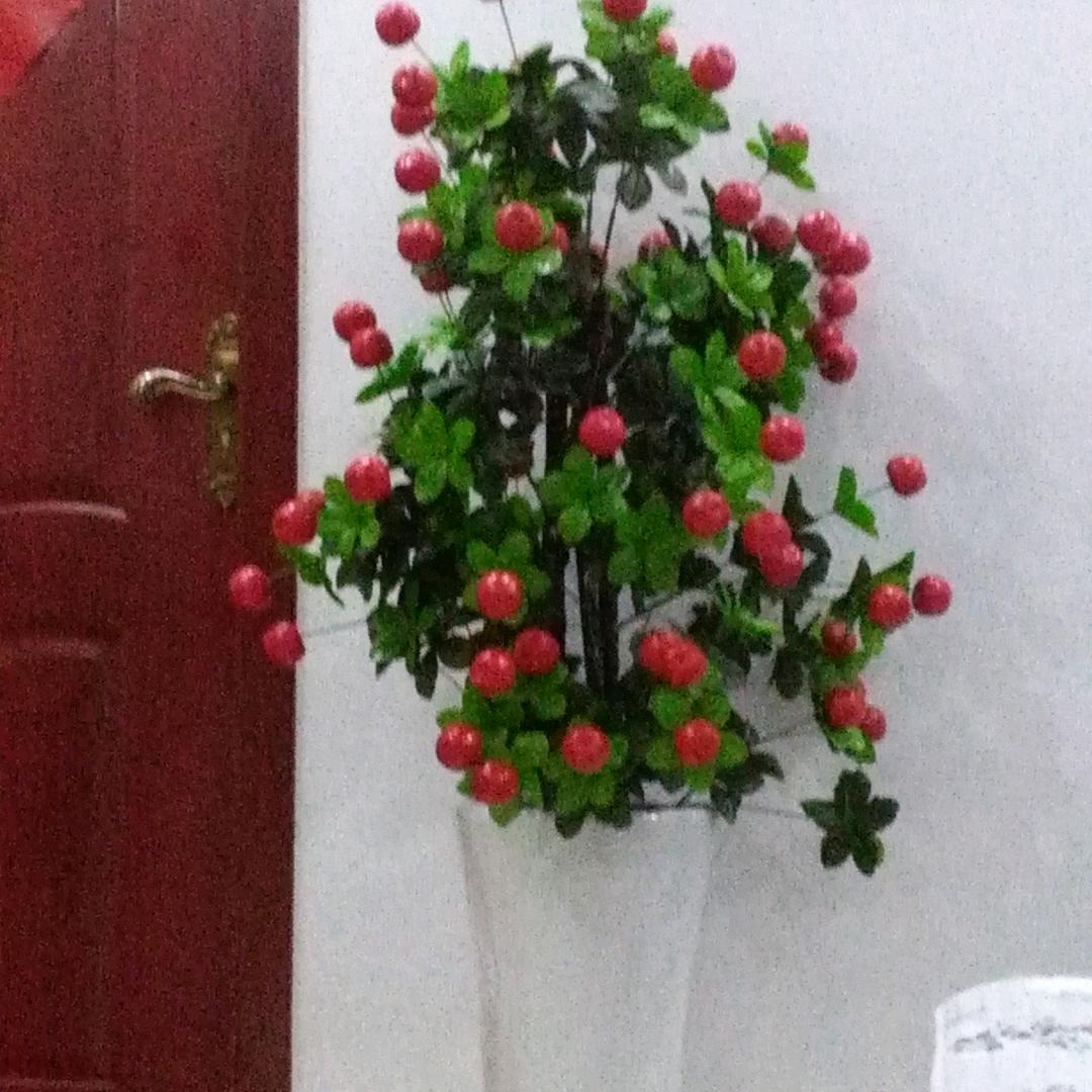 快乐刘四姐😋😋