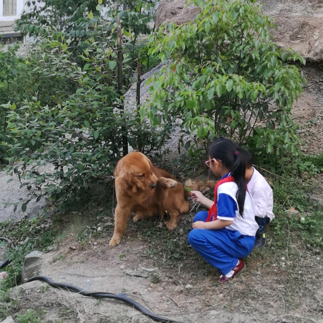 是一种爱好