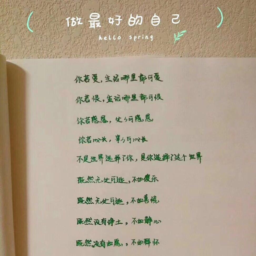 水滴木