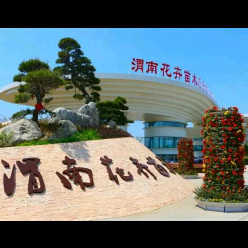 乡村人(乡村生活)