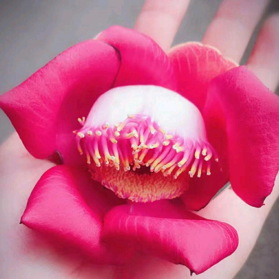 沐曦