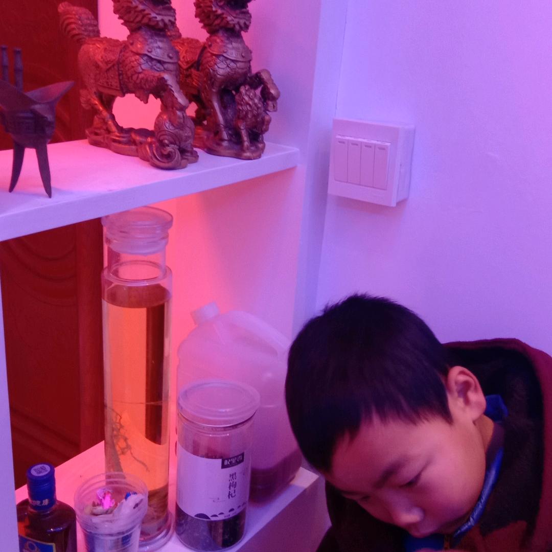 扬帆起航