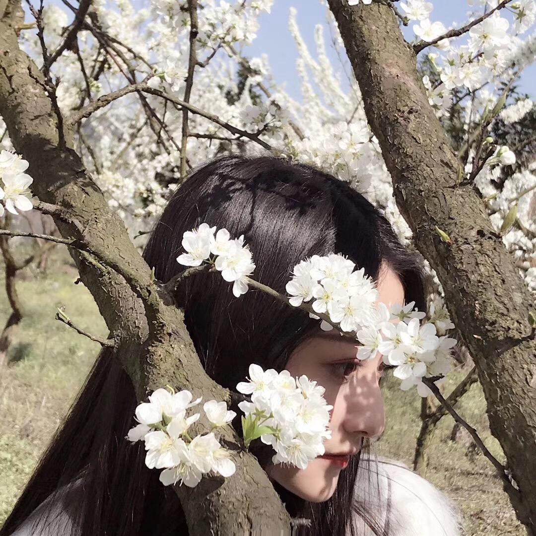凌波微步