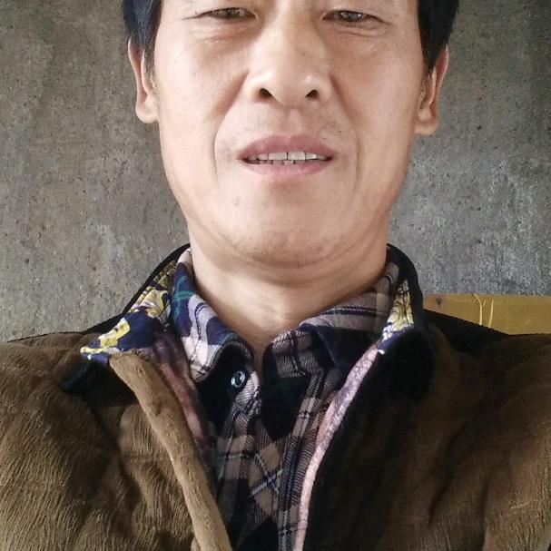 一生无悔