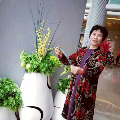 圆圆