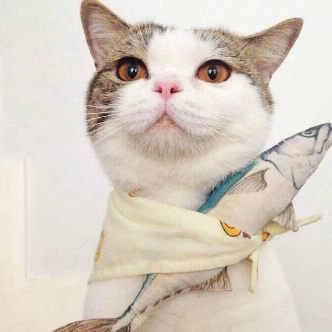 🌈飞来飞去的飞