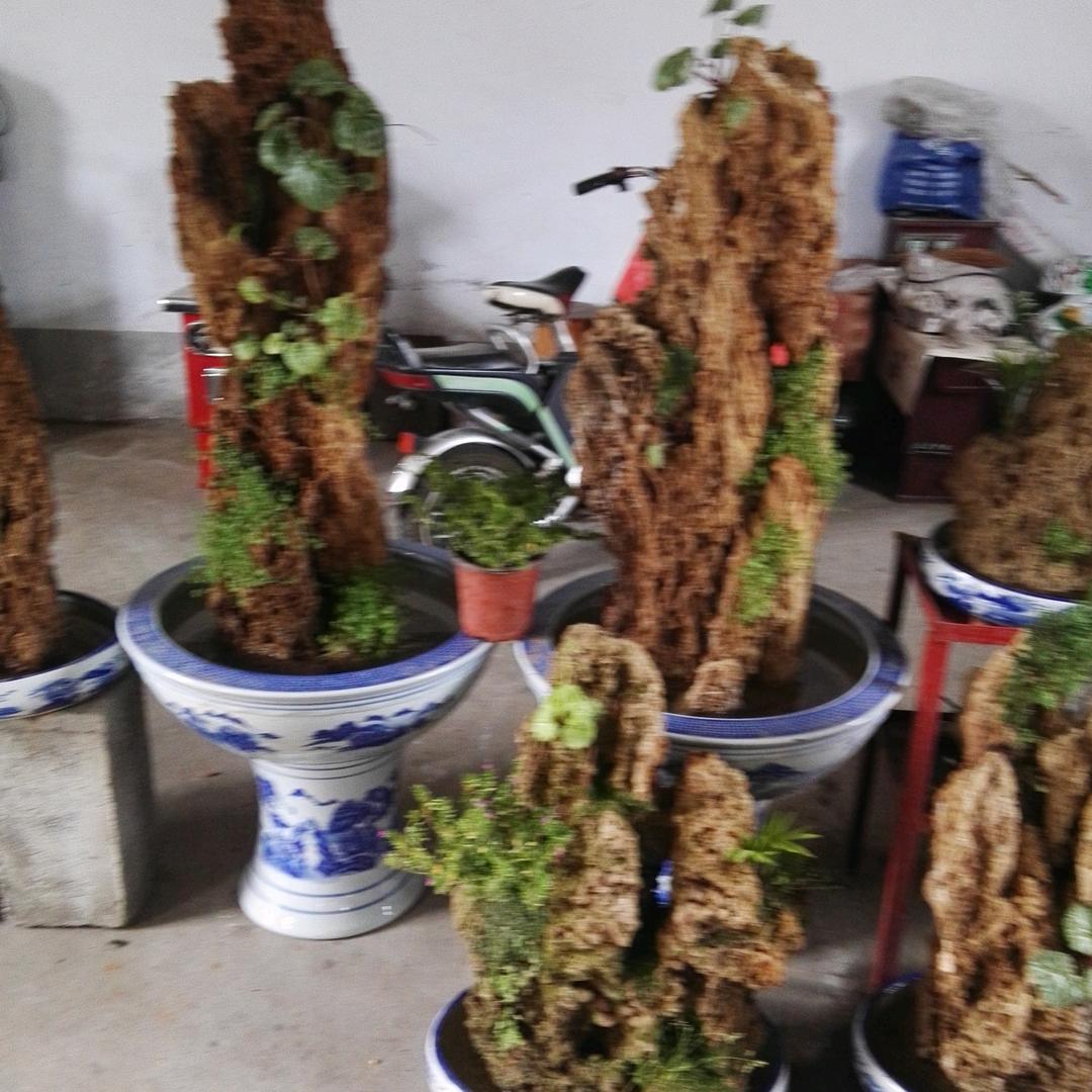 兵立烧鸡     红烧猪蹄