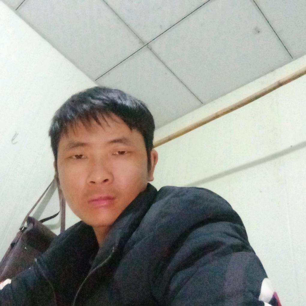 拉着火车的牛