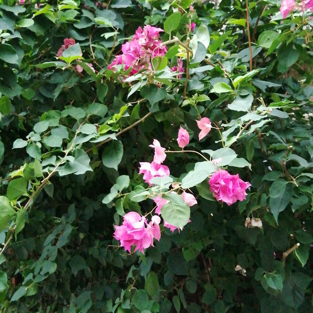 山水之间