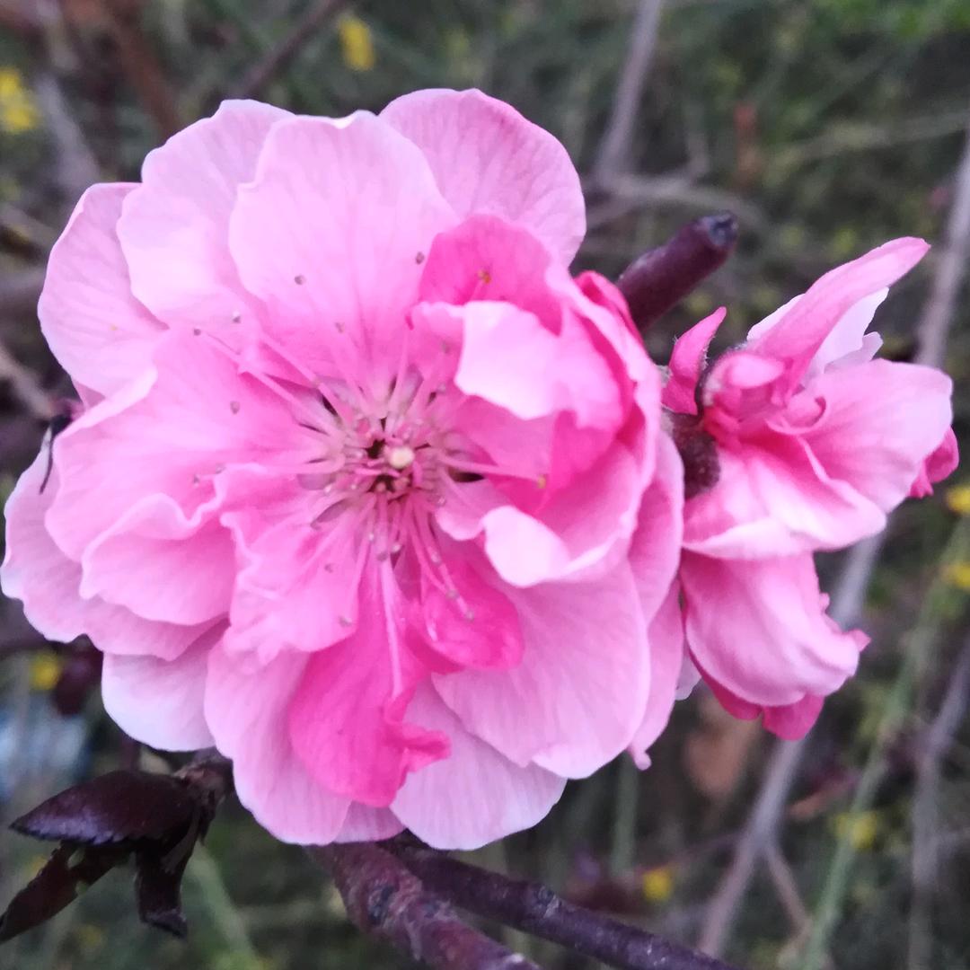 关注写字老师们