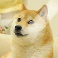 皮总夫妇的日常生活