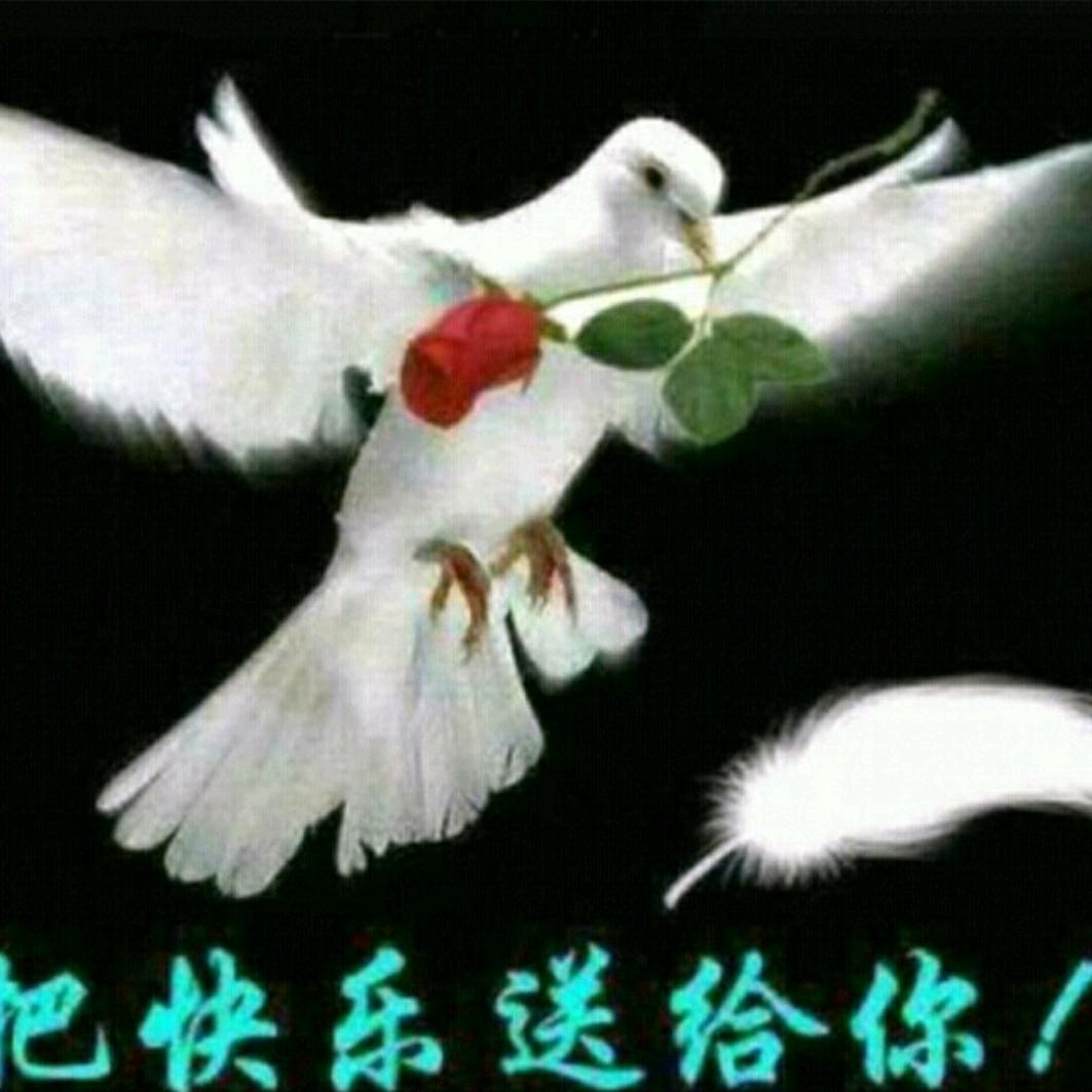 明真，仁义礼智信