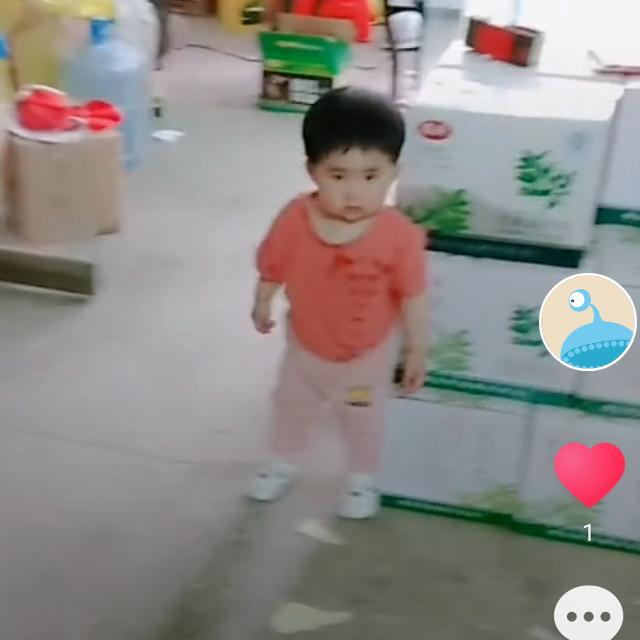 萍果