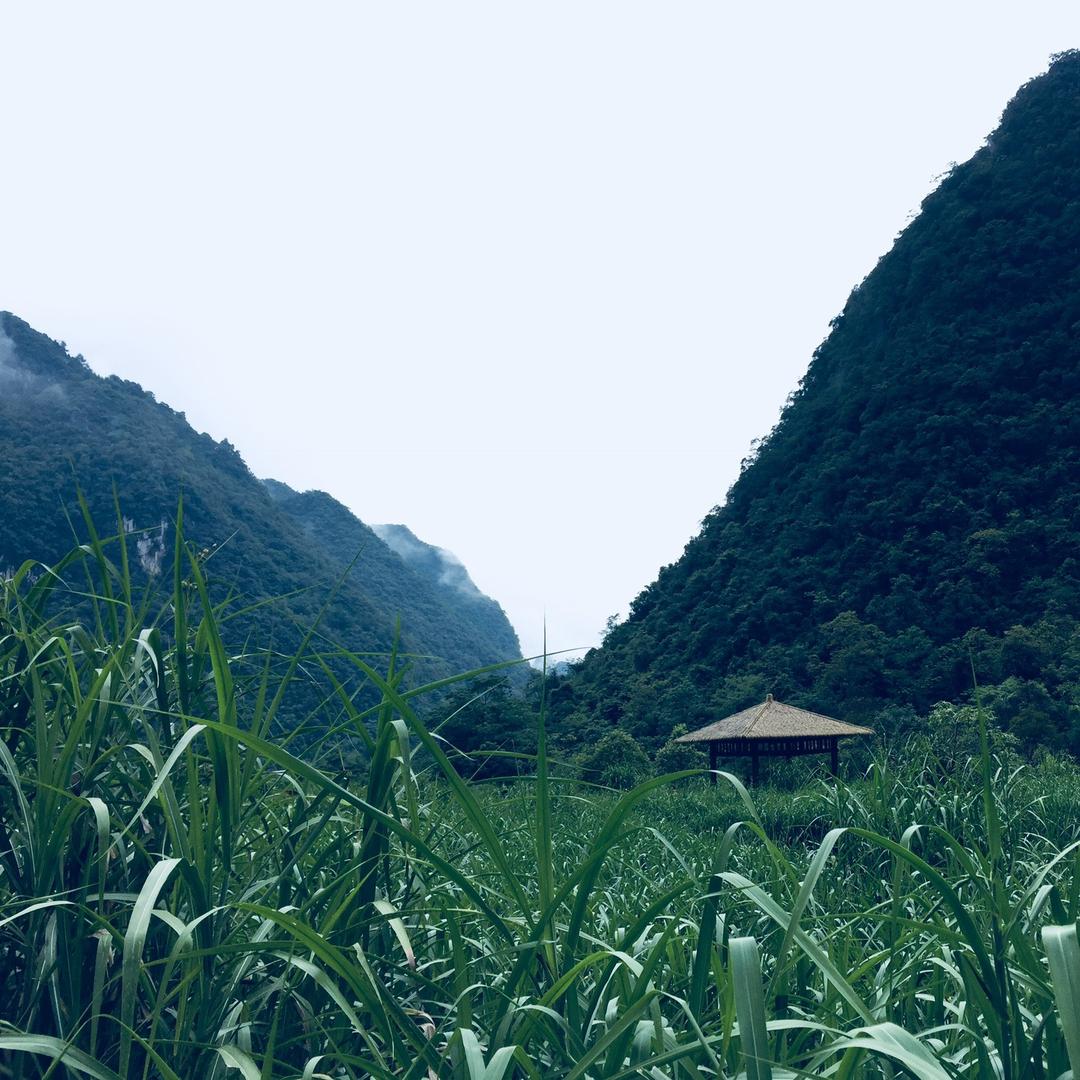甜甜馨