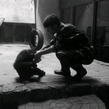 猩猩飼養員💨