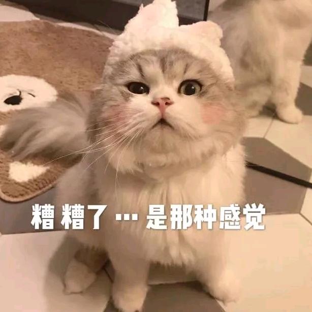 🌈深圳吴彦祖