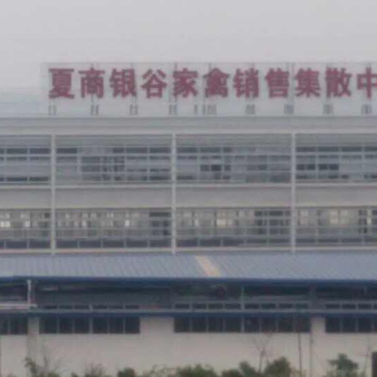 福建省厦门1号家禽小批发