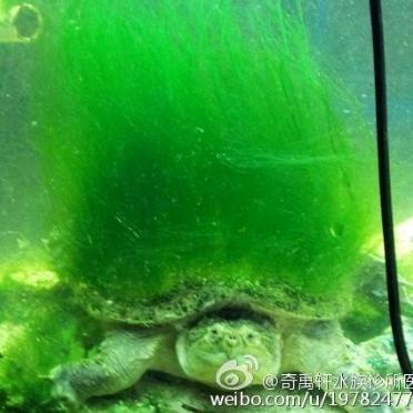 奇禹轩水族诊所