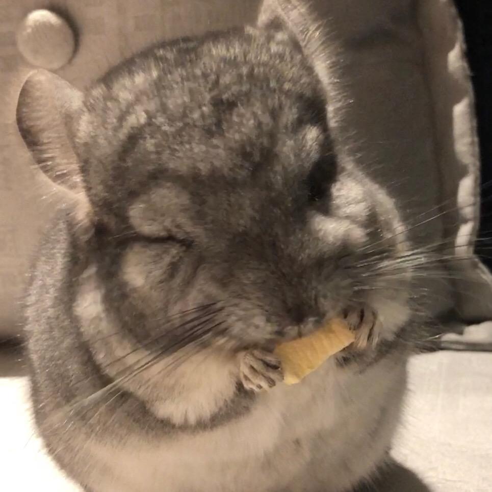 果壳的糖果🍬