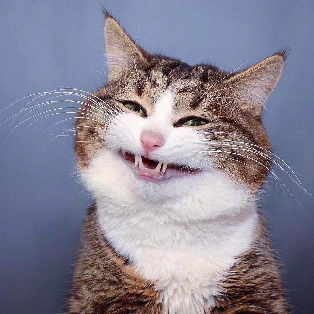 一封单苏