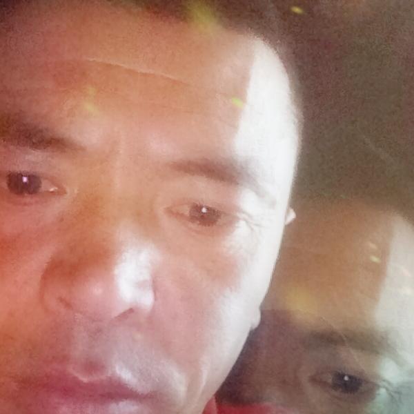 今生之为遇见你