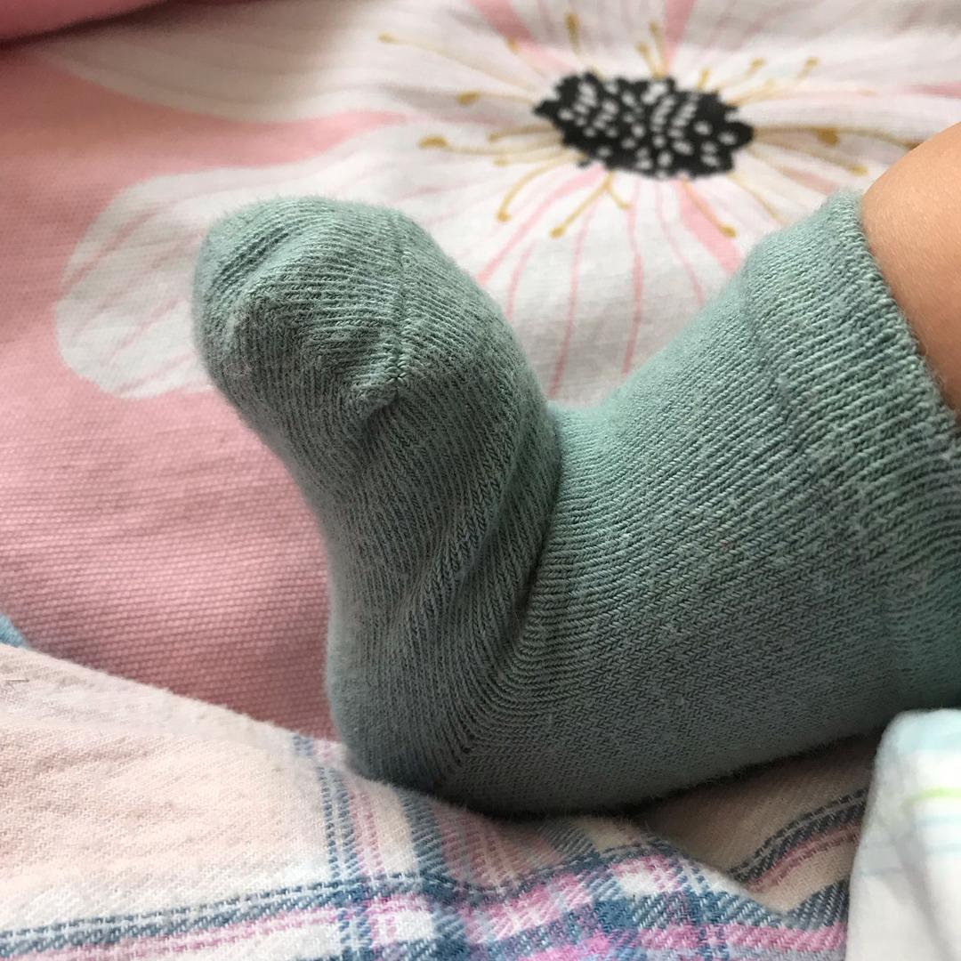 小豆苗和小葡萄