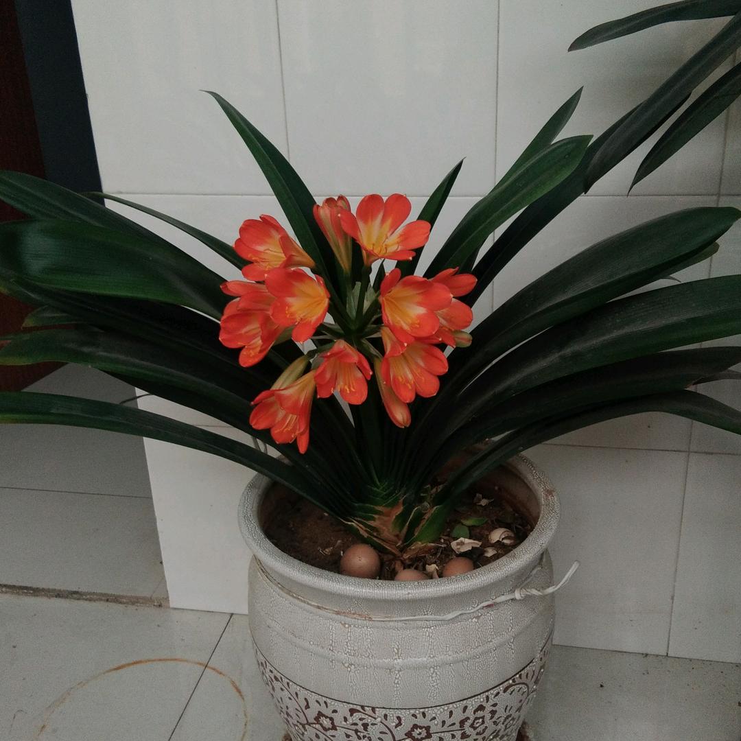 用户3700561754423老李