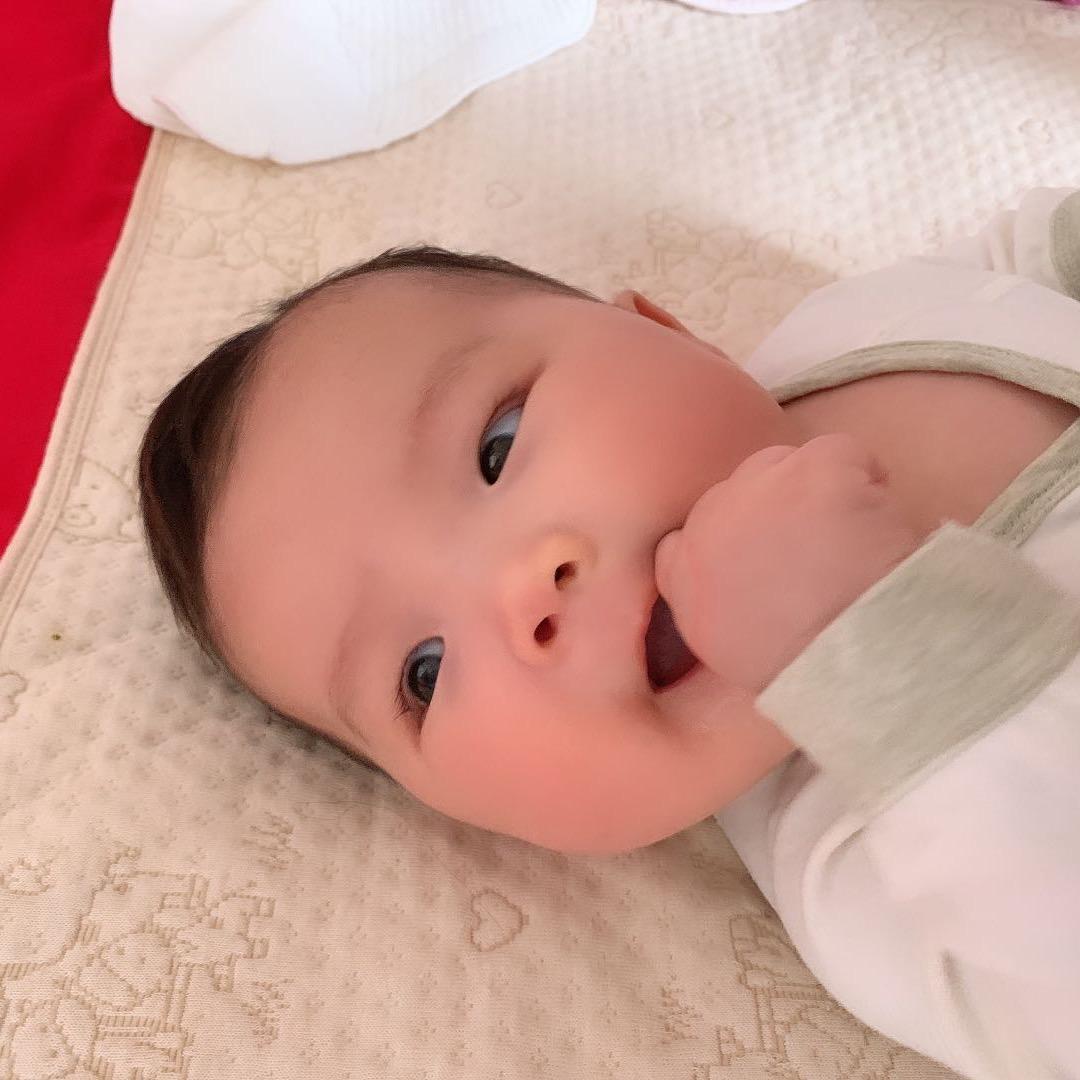 🌈大眼萌的大🌳