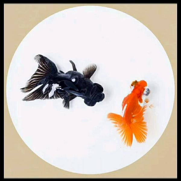 正月羊🐑🐑🙏🙏