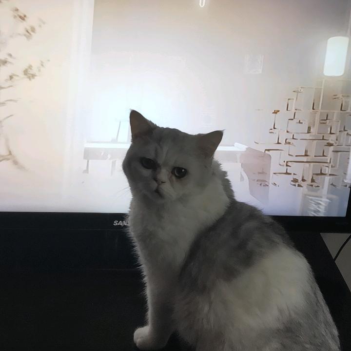 水晶