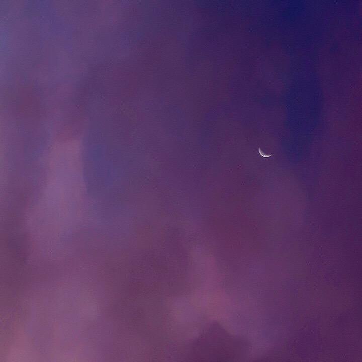 T.N