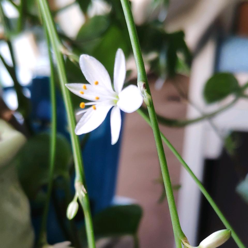 和未来有个约定