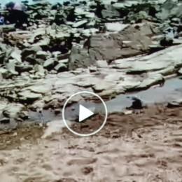漂洋过海