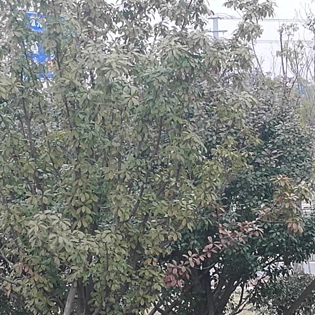 沉稳大叔🏃‍♂️